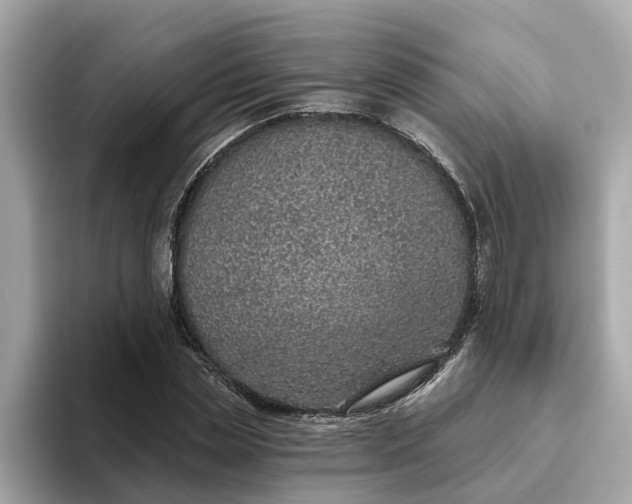 X0000093450829200710261059