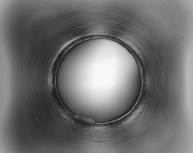 X0000093450830200710261059