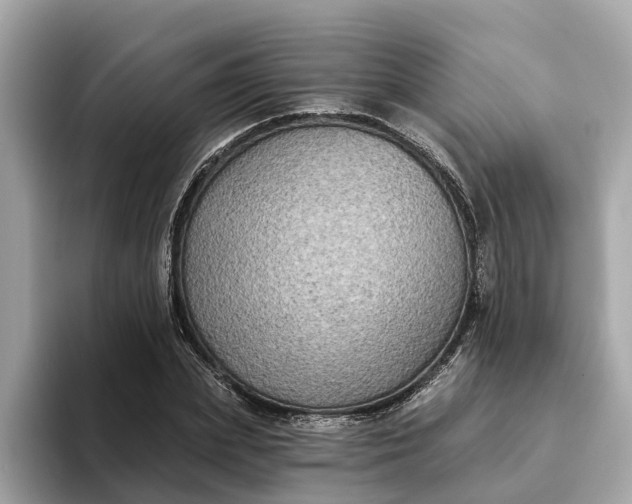 X0000093450831200710261059