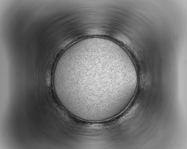 X0000093450833200710261059