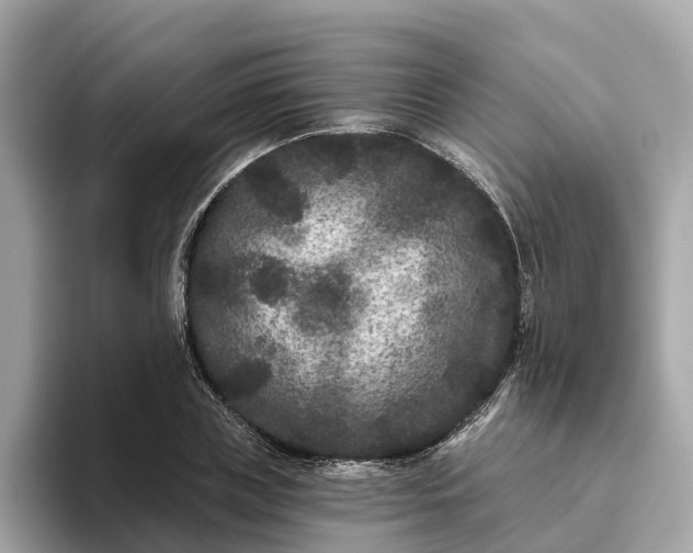 X0000093450835200710261059