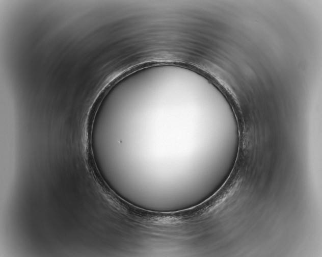 X0000093450837200710261059