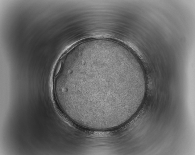 X0000093450840200710261059