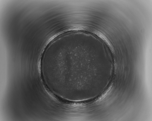 X0000093450842200710261059