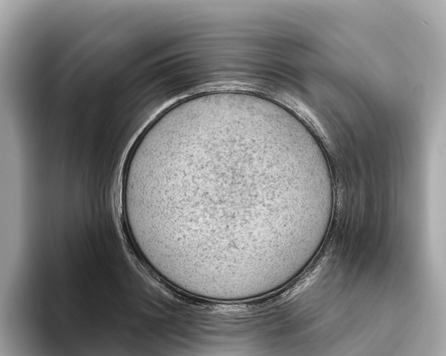 X0000093450844200710261059