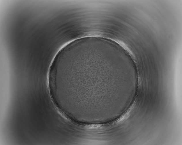 X0000093450846200710261059