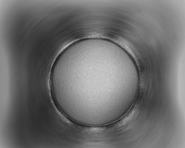 X0000093450847200710261059