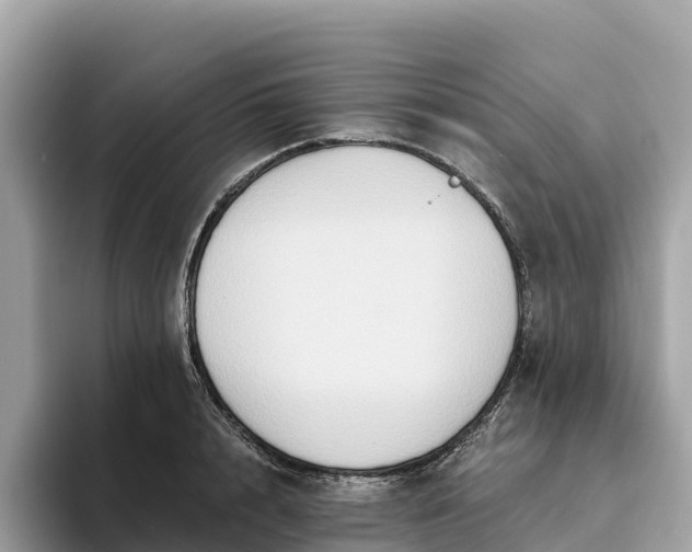 X0000093450848200710261059