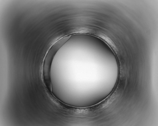 X0000093450850200710261059