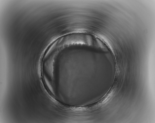 X0000093450851200710261059