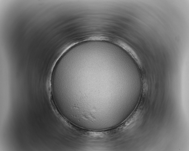 X0000093450852200710261059