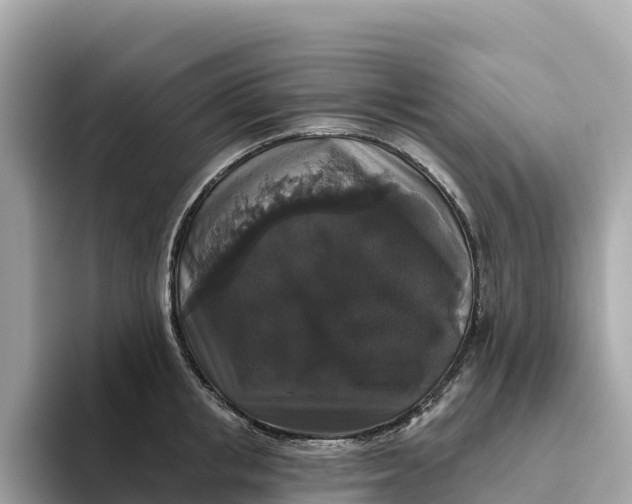 X0000093450853200710261059