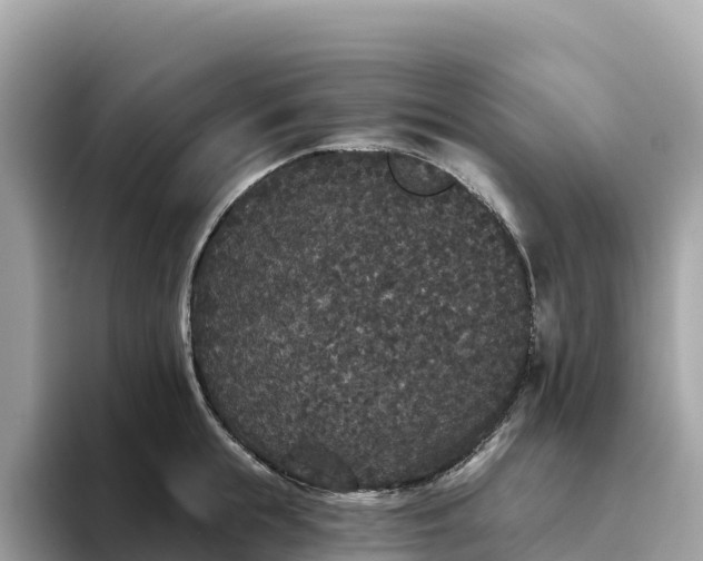 X0000093450855200710261059