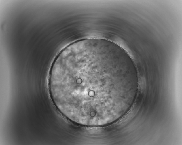 X0000093450856200710261059