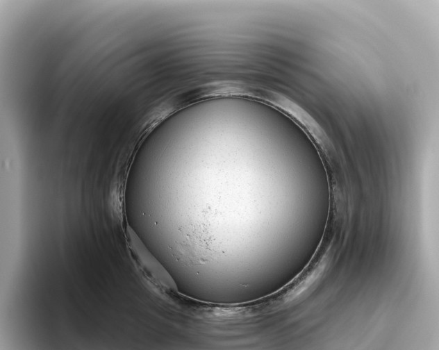 X0000093450857200710261059