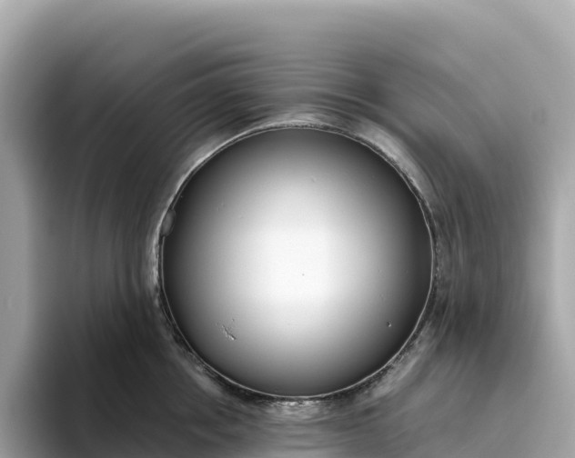 X0000093450858200710261059