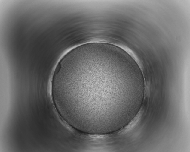 X0000093450862200710261100