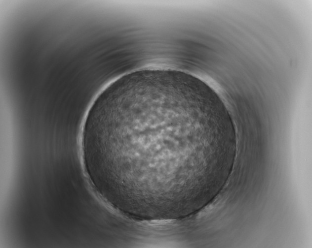 X0000093450864200710261100