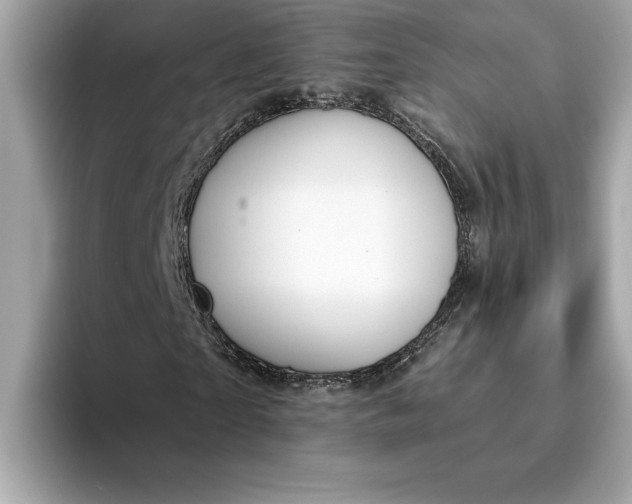 X0000093450865200710261059