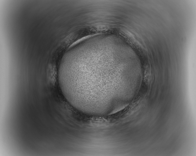 X0000093450866200710261059