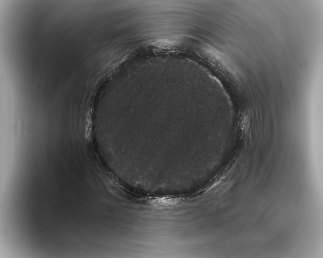 X0000093450868200710261059