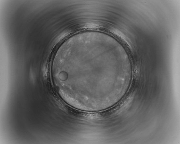 X0000093450874200710261059