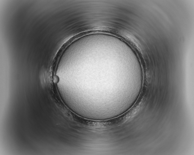 X0000093450875200710261059