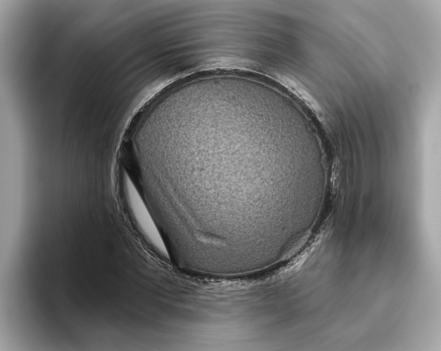 X0000093450877200710261059