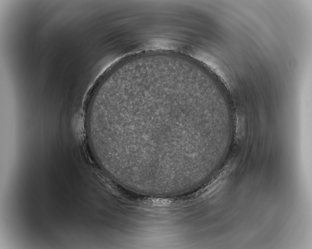 X0000093450878200710261059