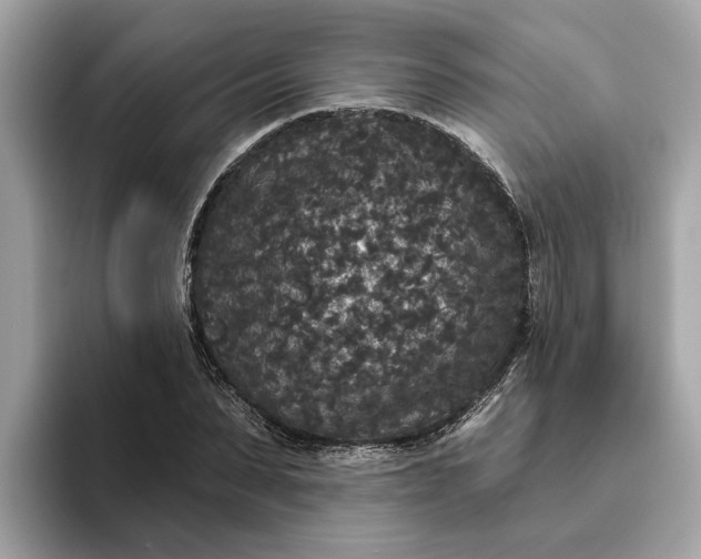 X0000093450879200710261059