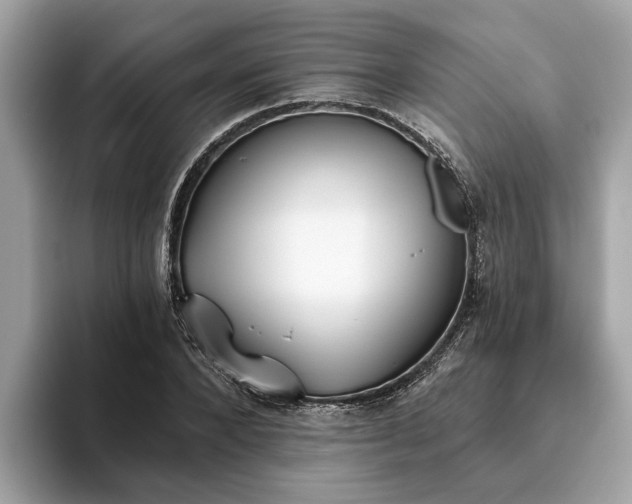 X0000093450880200710261059