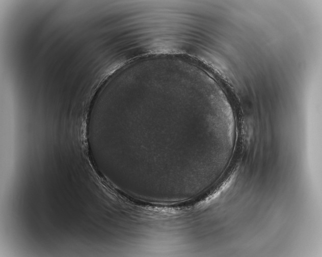 X0000093450881200710261059