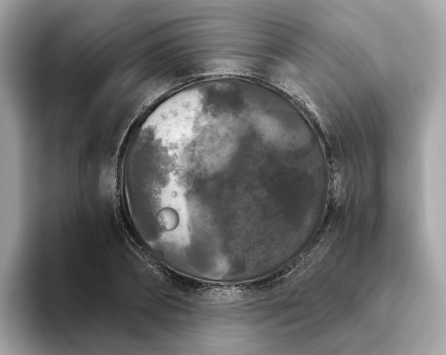 X0000093450882200710261059