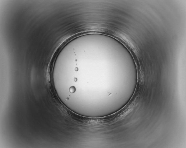 X0000093450883200710261059