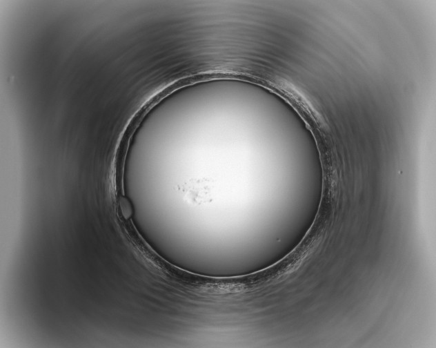 X0000093450884200710261059