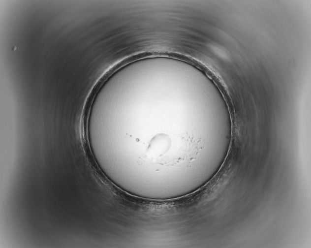 X0000093450887200710261059