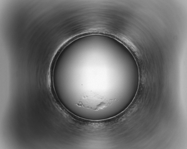 X0000093450888200710261059