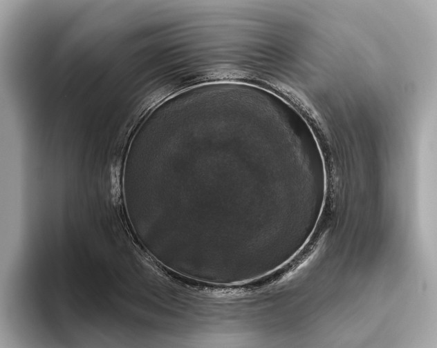 X0000093450889200710261059