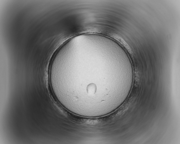 X0000093450890200710261059