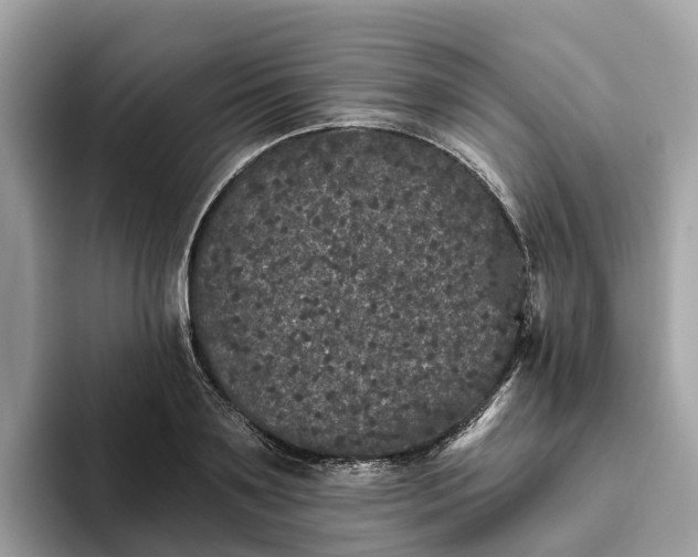 X0000093450891200710261059