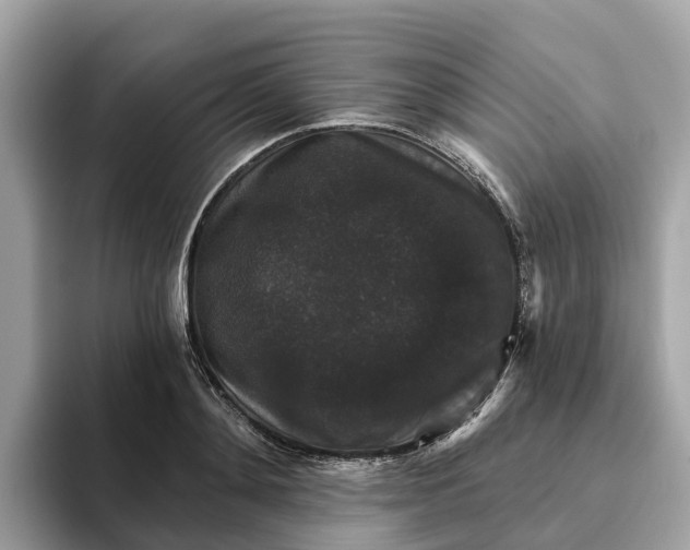 X0000093450892200710261059