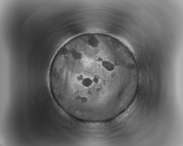 X0000093450895200710261059