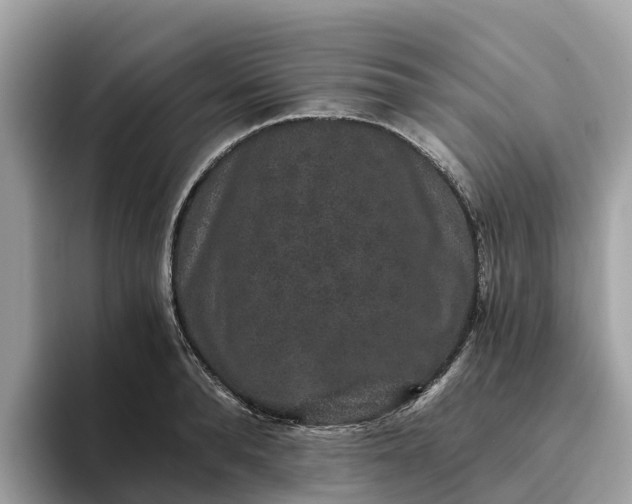 X0000093450896200710261059