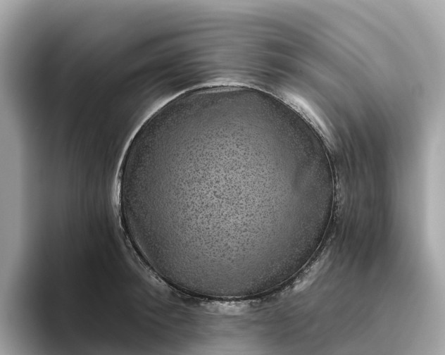 X0000093450900200710261058