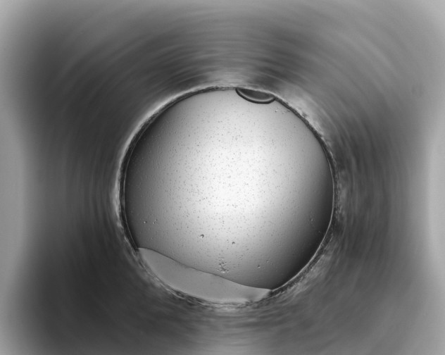 X0000093450904200710261058