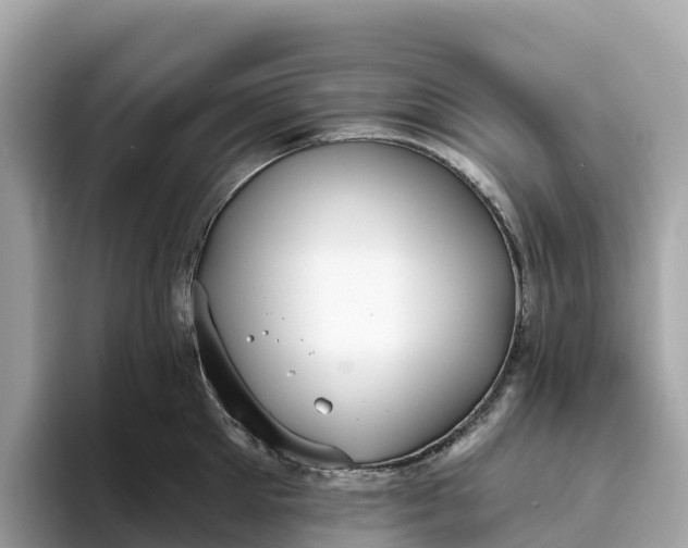 X0000093450905200710261058