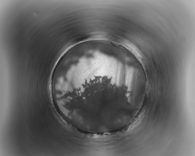 X0000093450907200710261058