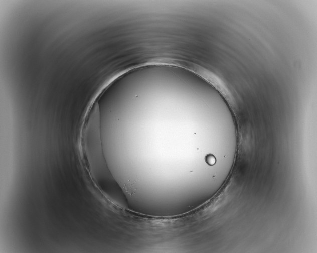 X0000093450908200710261058