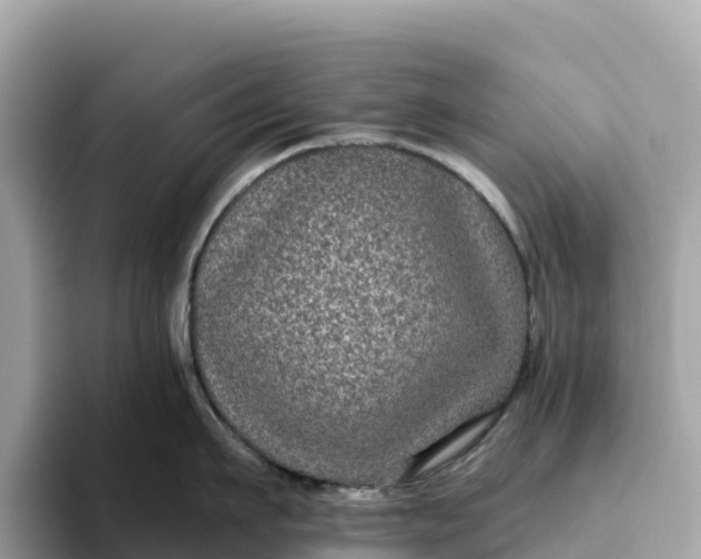 X0000093450911200710261058