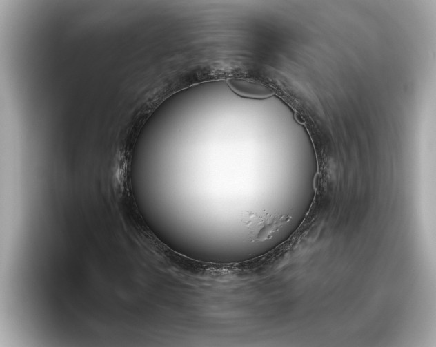 X0000093450914200710261058